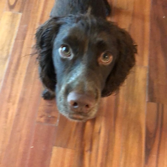 Meet your Posher, Meaghan - Picture 1 of 1